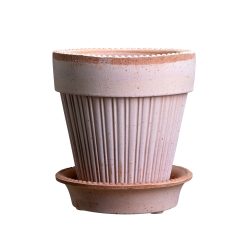 Lenox Fine Lenox Fine Simona Raw Rosa 16cm Pot with Saucer