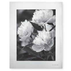 Lenox Fine Lenox Fine Darling Point 8x10 Photo Frame