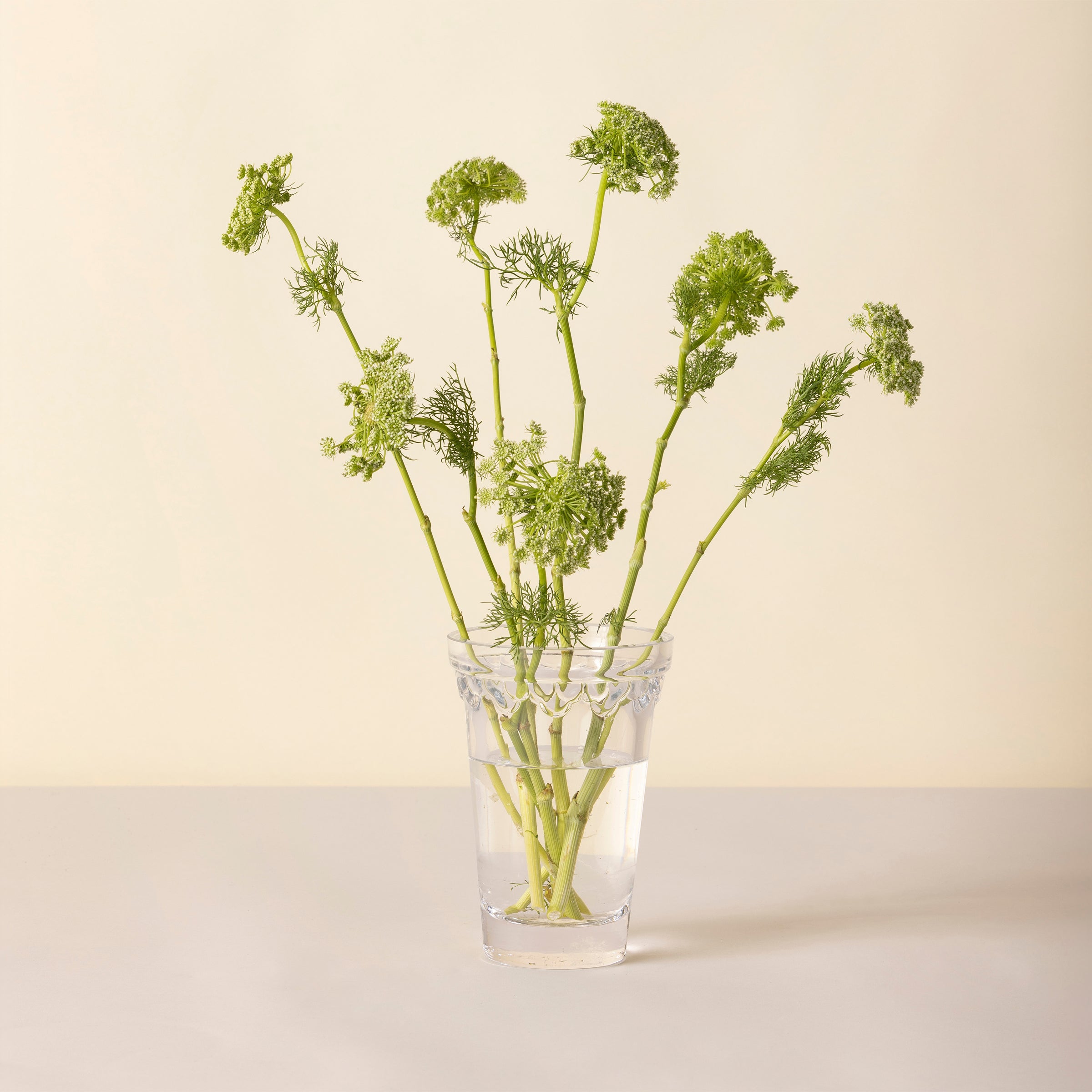 Lenox Fine Lenox Fine Kobenhavner Small Clear Glass Vase - Image 2